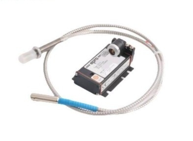 PR6423/013-020 EPRO M10 x 1 Zırhlı Kabloyla 55 mm Kol Uzunluğu Lemo Bağlantısı Konvertör için Son
