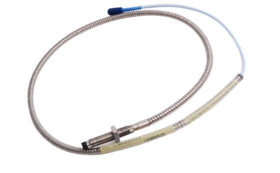 330104-00-15-10-02-05 Bently Nevada Yakınlık Sonda 3300 XL 8 mm