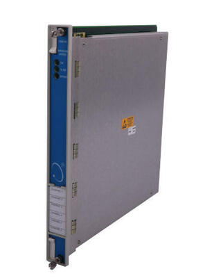 Bently Nevada 3500/60 133811-01 Sıcaklık Modülleri